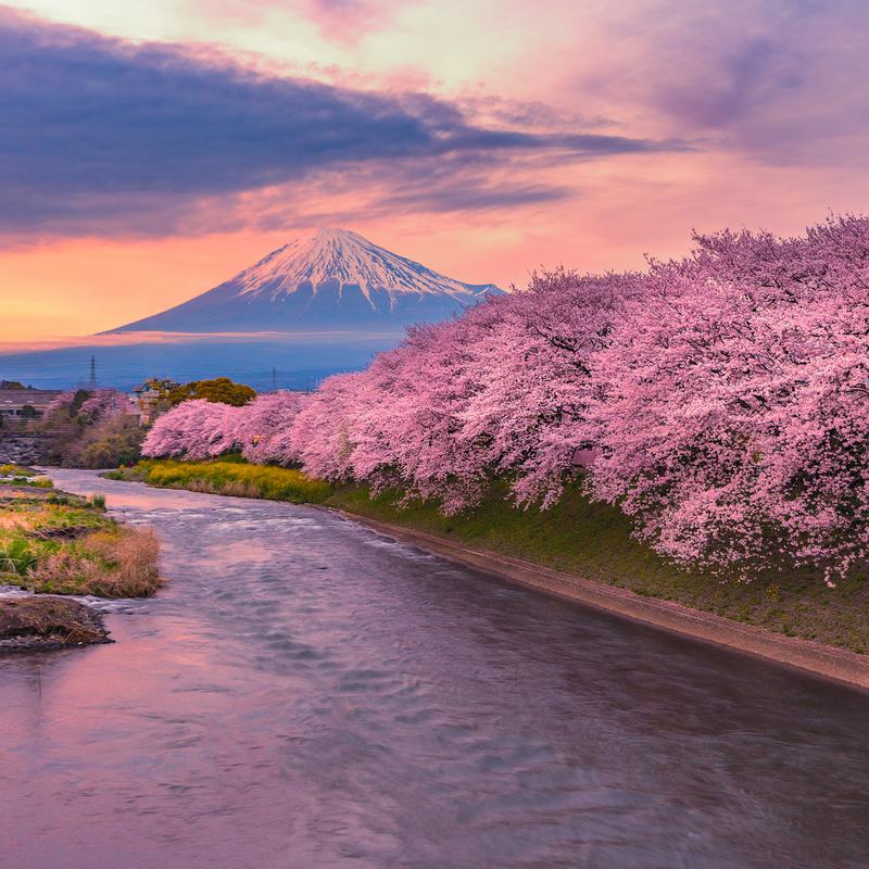 Japonia